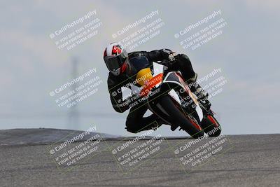 media/Apr-15-2024-Lets Ride (Mon) [[fff7f53741]]/B Group/Grapevine/